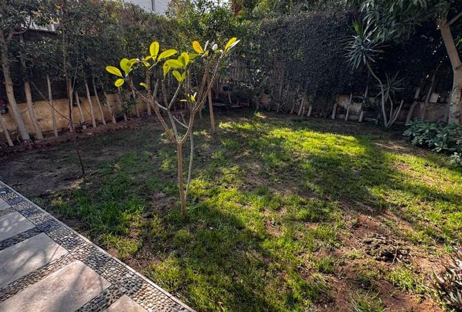 63137720 - Property Image 3