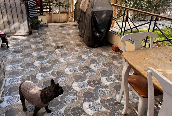 63137720 - Property Image 2