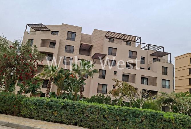 105742657 - صورة العقار 3