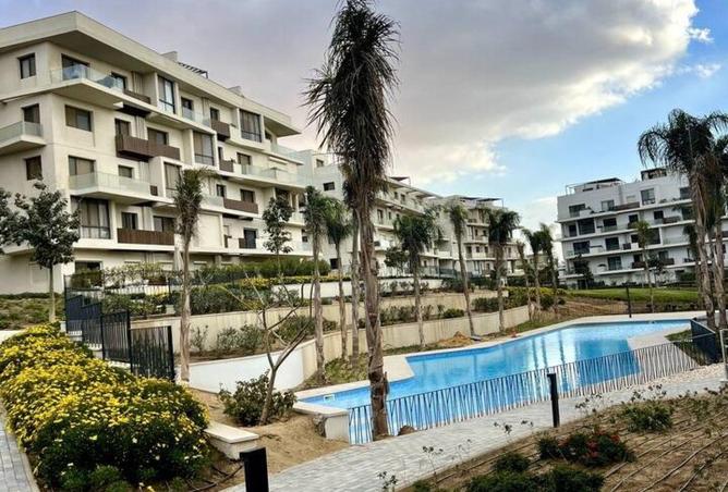 62401029 - Property Image 3