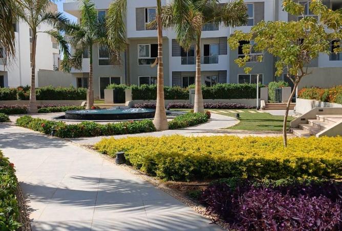 53731087 - صورة العقار 3