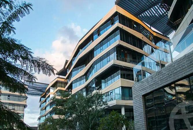 55505652 - صورة العقار 3