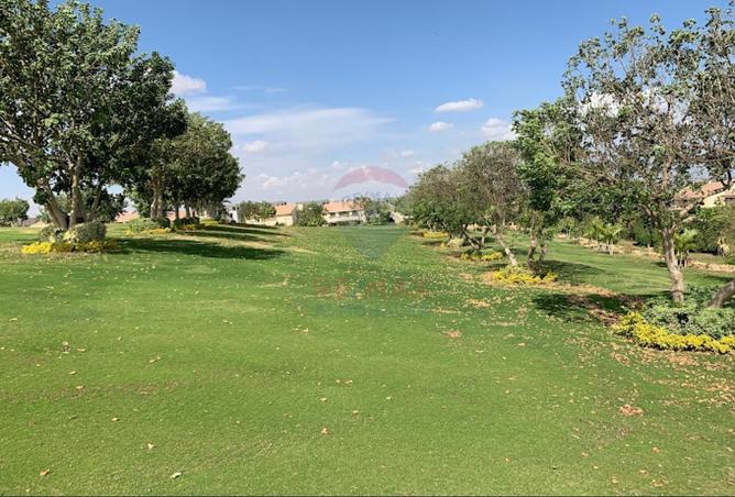 73229063 - صورة العقار 3