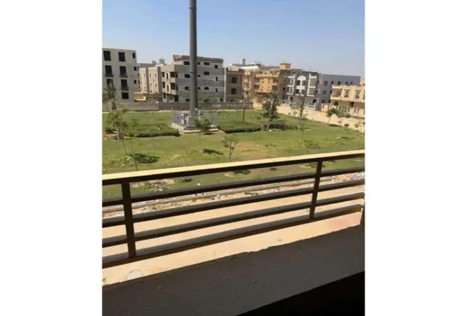 117788242 - Property Image 3