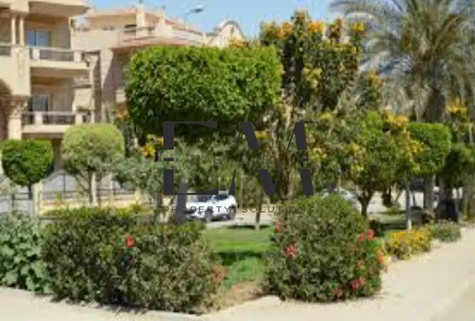115438456 - Property Image 2