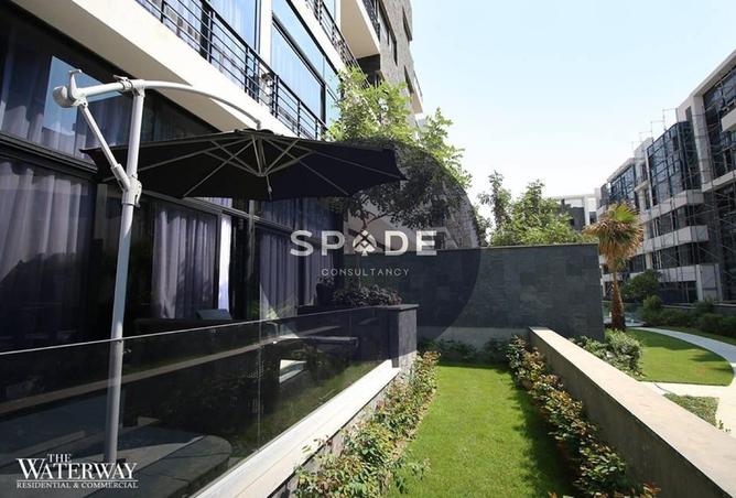 81311797 - Property Image 3