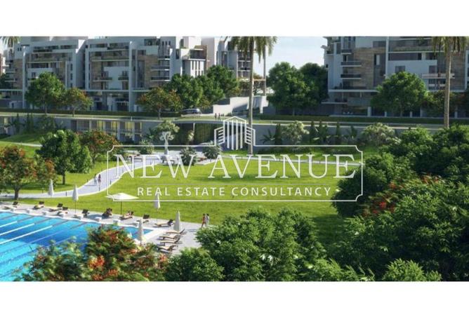 56494935 - صورة العقار 2