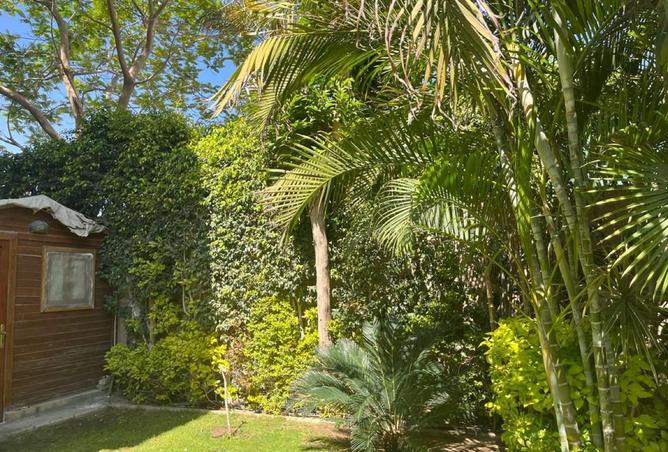 64380604 - Property Image 2