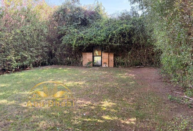 54232736 - صورة العقار 3