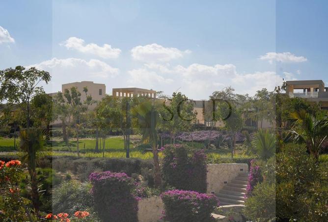 51176138 - Property Image 2