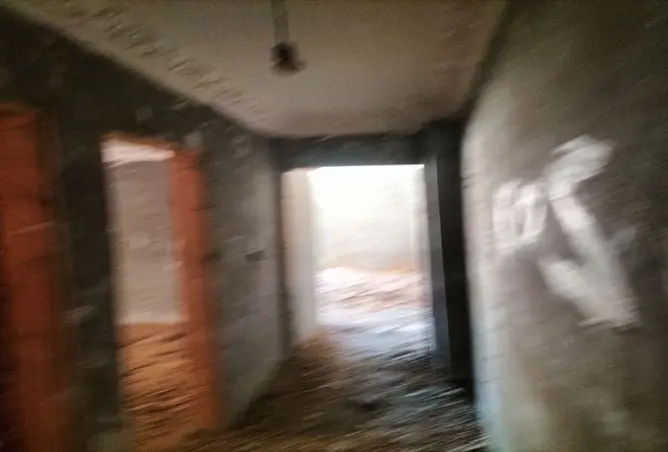 111606818 - Property Image 3