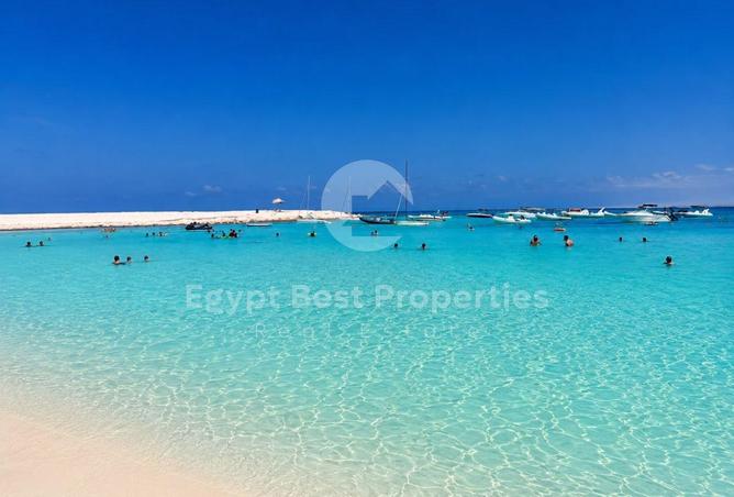 101779209 - صورة العقار 2