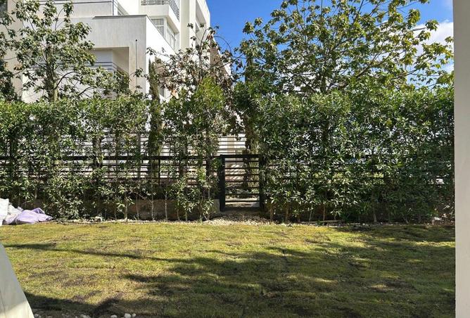 56495504 - صورة العقار 3