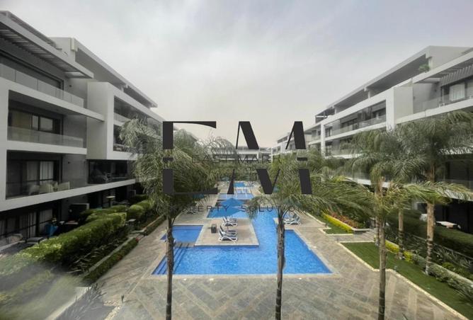 56253875 - Property Main Image