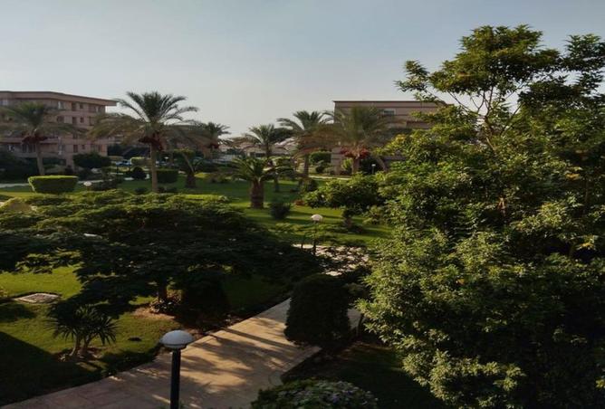 54755633 - صورة العقار 3