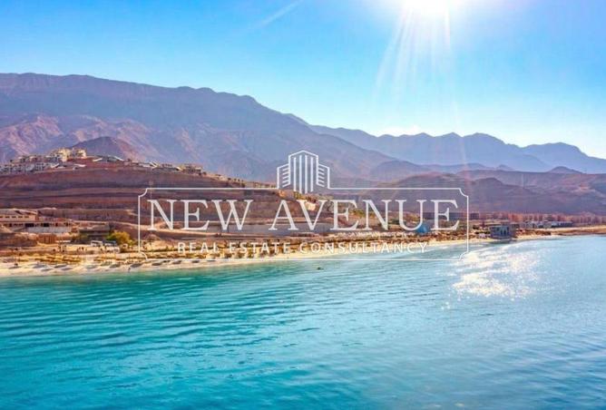 8662605 - Property Image 3