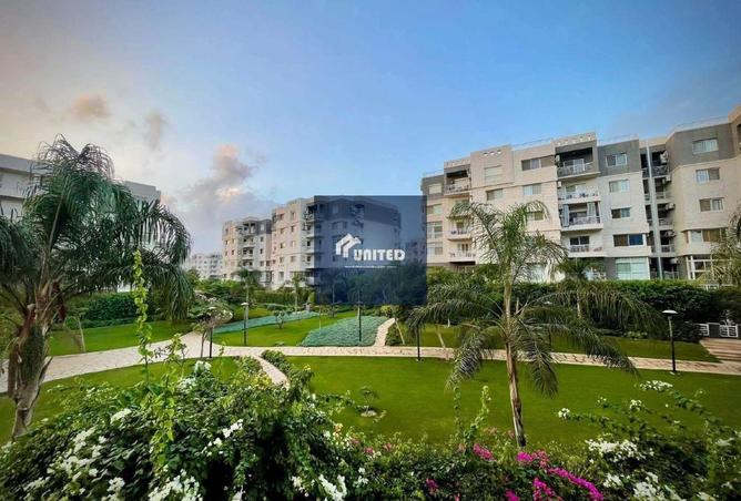 8515561 - Property Image 3