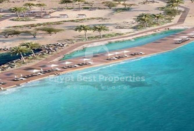 8584927 - Property Image 3