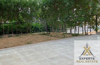 Apartment - 3 Bedrooms - 2 Bathrooms for sale in Privado - Madinaty - Cairo
