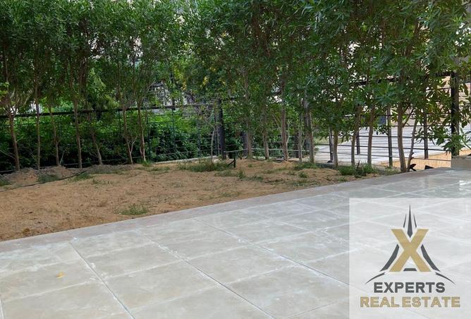 59745518 - صورة العقار 3