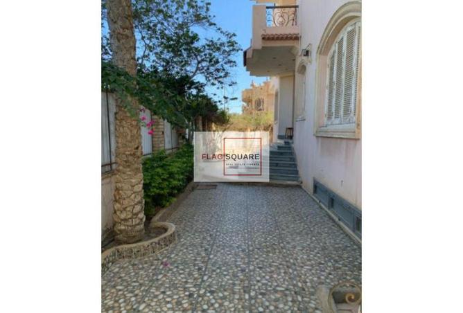 66959040 - صورة العقار 3