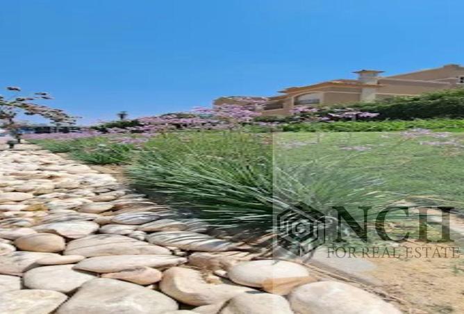 53473279 - Property Image 2