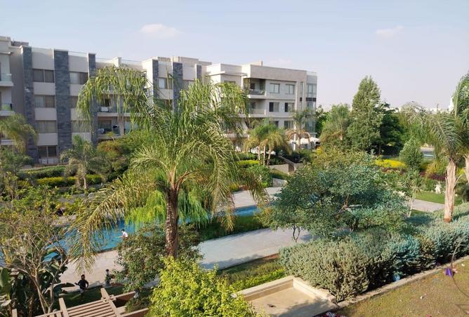 64126888 - Property Image 2