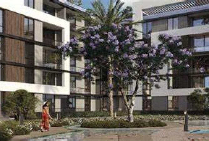 55260764 - Property Image 3