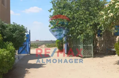 Farm - Studio for sale in Wadi Al Natrun St. - El Mansheya El Gedida - Hay Wasat - Alexandria
