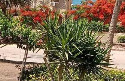Chalet - 4 Bedrooms - 2 Bathrooms for rent in Marina 4 - Marina - Al Alamein - North Coast