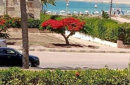 Chalet - 4 Bedrooms - 2 Bathrooms for rent in Marina 4 - Marina - Al Alamein - North Coast