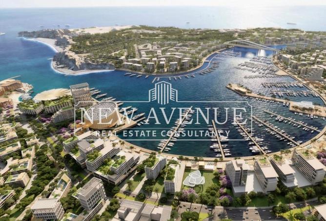 66421337 - Property Image 3