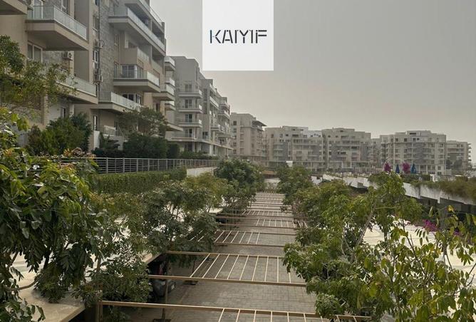 109063622 - Property Main Image