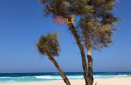 Chalet - 3 Bedrooms - 3 Bathrooms for sale in Marsa Baghush - Qesm Marsa Matrouh - North Coast