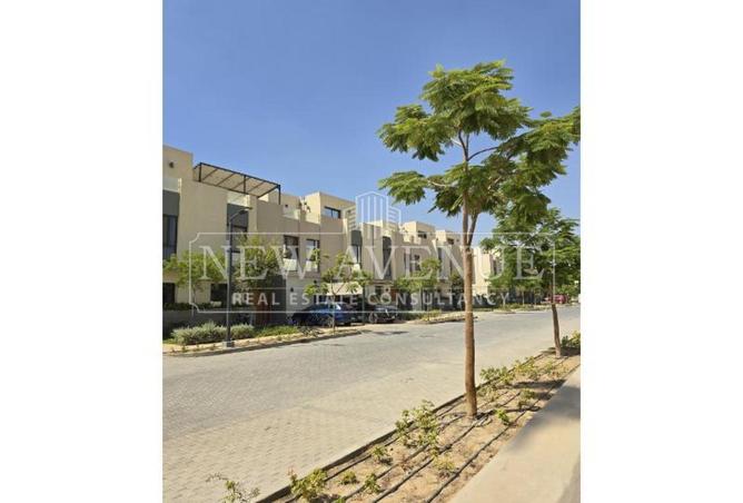 81306929 - صورة العقار 3