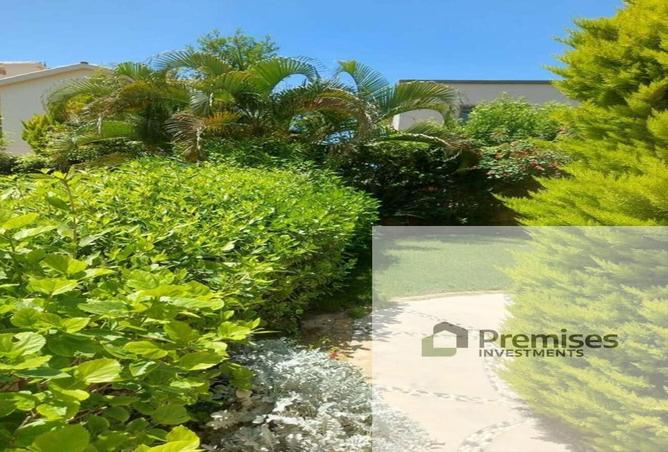 8671427 - Property Image 3