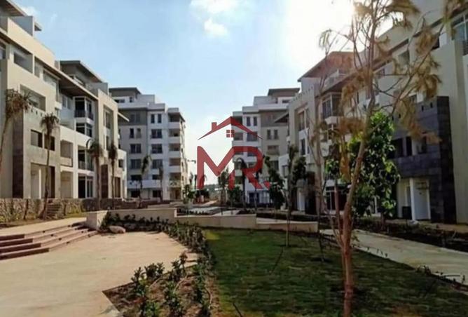 66439328 - Property Image 2