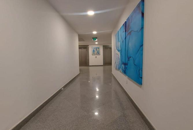 55249569 - Property Image 3