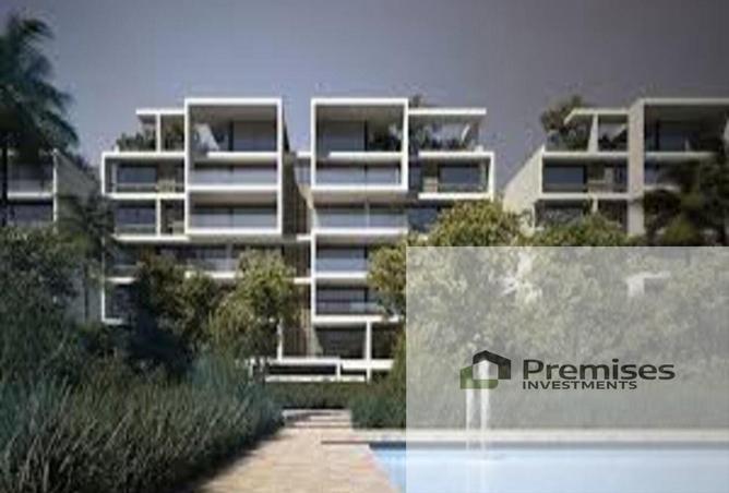 56003624 - Property Image 3