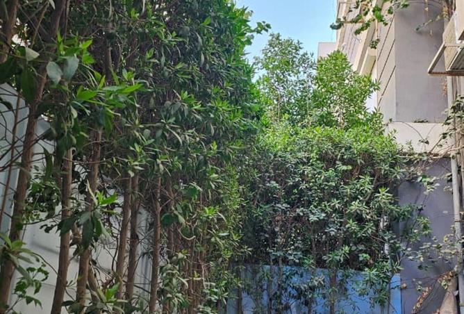 62887824 - صورة العقار 2