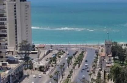 شقة - 3 - 2 للبيع في قصر المنتزة - قصر المنتزة - حي ثان المنتزة - الاسكندرية