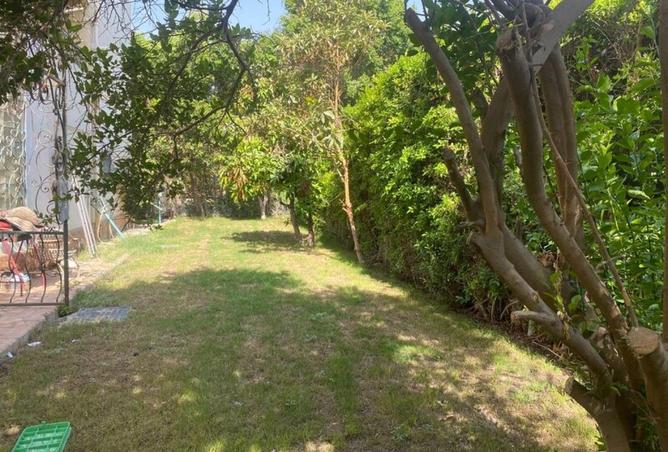 8582765 - Property Image 3