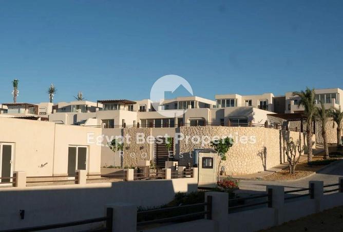 97149542 - صورة العقار 3