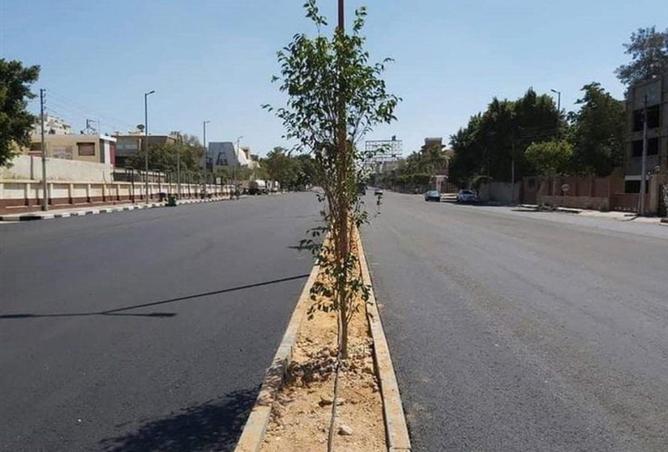 8588384 - Property Image 2