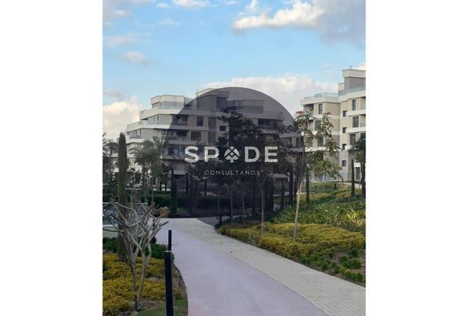 98826835 - Property Image 2