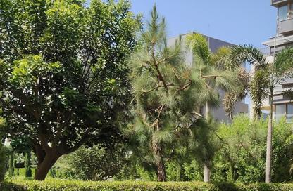 Apartment - 3 Bedrooms - 4 Bathrooms for rent in Aeon - 6 October Compounds - 6 October City - Giza