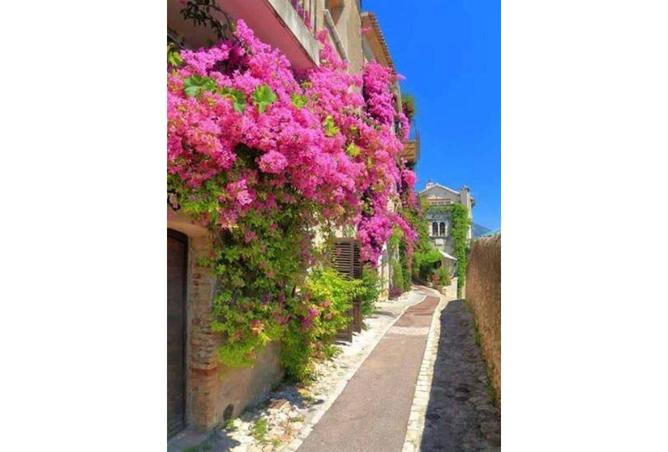 8620914 - صورة العقار 2