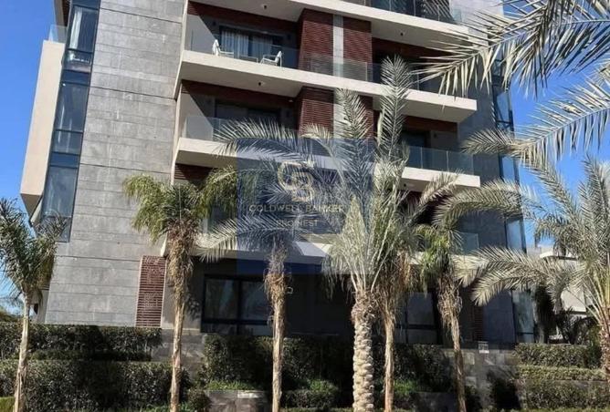 8463576 - Property Image 2