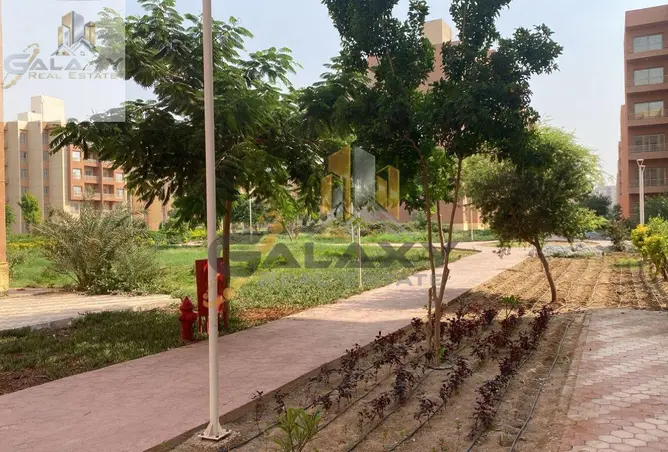 97835389 - صورة العقار 2