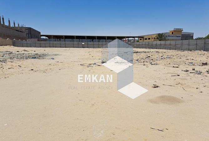 55498316 - Property Image 3